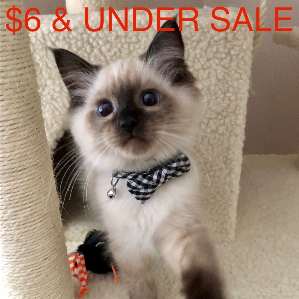 Everything $6 or less~!!